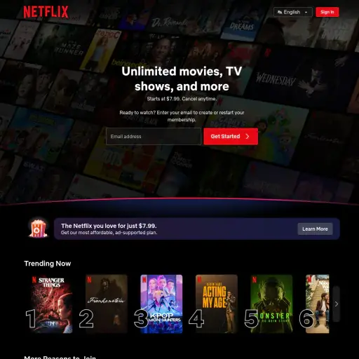 Netflix Inc